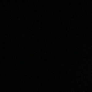 Meet your Posher, Larry